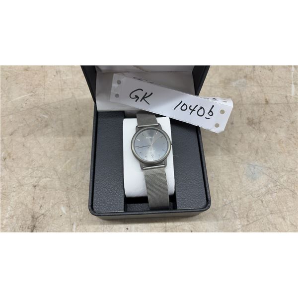 Skagen Denmark 170LTTM Titanium Quartz Watch with Grey Dial, Date, and Mesh Bracelet
