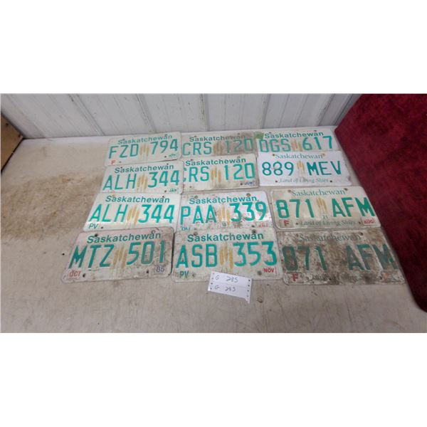 Collection of Saskatchewan License Plates, 1980s–2020s, Land of Living Skies 12x