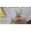 Image 3 : Two Black Forest Cuckoo Clocks with Carved Hunting Theme and Stag Head Antlers