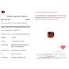 Image 3 : 5.7 Ct Certified Spessartite Garnet Gemstone ($5,700 Appraisal)