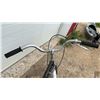 Image 5 : Svitzer Exclusiv 1 Step-Through Utility Bicycle with Rear Rack and Silver Fenders