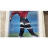Image 4 : Tiger Woods Upper Deck Poster
