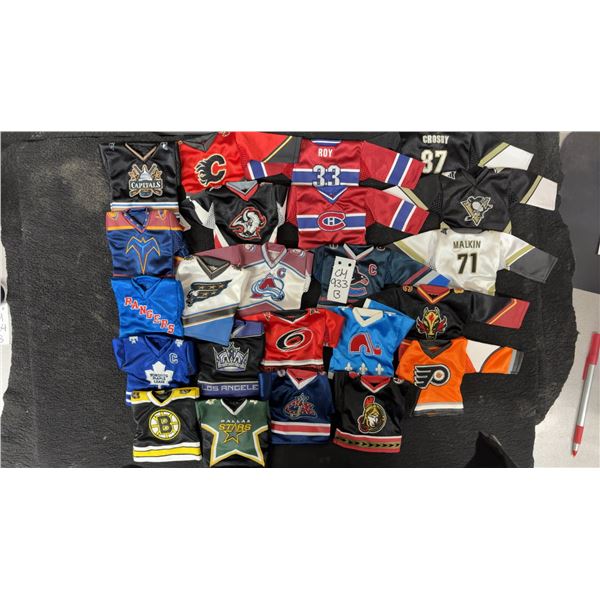NHL Mini Jersey Collection