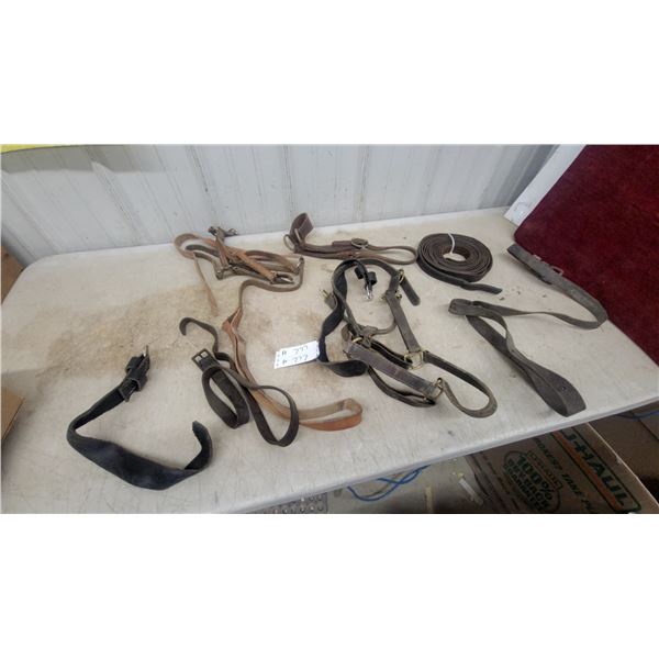 Assorted Leather Horse Tack Including Halter, Components, Reins, and More