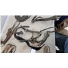 Image 4 : Assorted Leather Horse Tack Including Halter, Components, Reins, and More