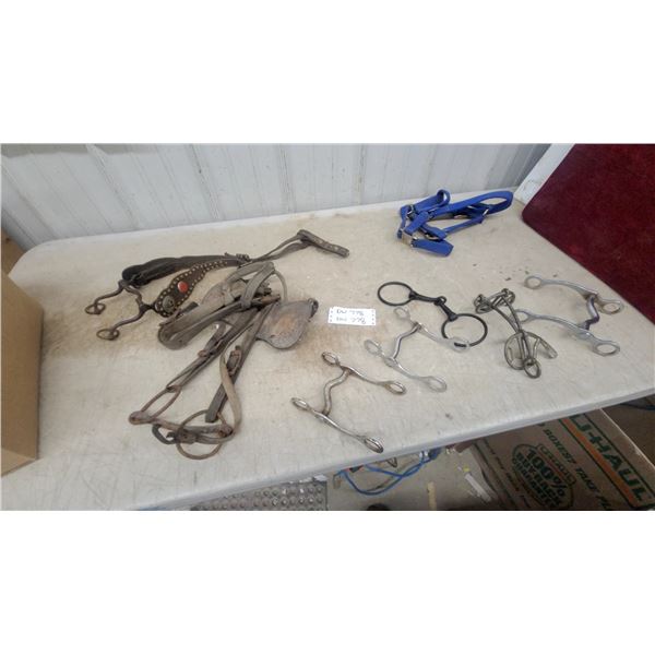 Vintage Western Bridle with Decorative Leather Cheekpiece, Assorted Horse Bits, and Halter