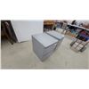Image 2 : Two Gray Two-Drawer Nite Stands 22 x 19 x 16"