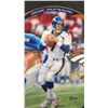 Image 6 : John Elway Bradford Exchange Collector's Plate