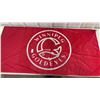 Image 1 : Winnipeg Goldeyes Flag