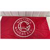 Image 2 : Winnipeg Goldeyes Flag