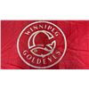 Image 4 : Winnipeg Goldeyes Flag