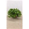 Image 3 : Collection of Decorative Vases with Artificial Flowers and Greenery