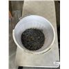 Image 1 : BUCKET OF NAILS