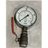 Image 3 : 2 KPA PSI GUAGES