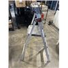 Image 2 : 3 STEP LADDER