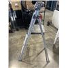 Image 3 : 3 STEP LADDER