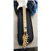Image 3 : PREDATOR ELECTRIC GUITAR IN SOFT CASE