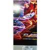 Image 2 : THE FLASH "FAST