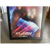 Image 3 : THE FLASH SOLO ACTION POSTER
