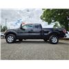Image 15 : DUNCAN - 2012 FORD F-150 BLACK  223678 KMS - DA78406