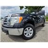 Image 1 : DUNCAN - 2012 FORD F-150 BLACK  223678 KMS - DA78406