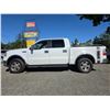 Image 15 : DUNCAN - 2006 FORD F-150 WHITE  340697 KMS - DB91468