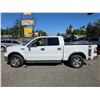 Image 16 : DUNCAN - 2006 FORD F-150 WHITE  340697 KMS - DB91468