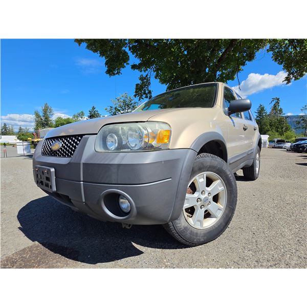 DUNCAN - 2007 FORD ESCAPE BROWN 214786 KMS - JB67595