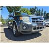 Image 5 : DUNCAN - 2008 FORD ESCAPE BLUE 277278 KMS - DD21322