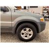 Image 25 : PARKSVILLE - 2006 FORD ESCAPE GREEN 199048 KMS - BA94742