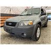 Image 2 : PARKSVILLE - 2006 FORD ESCAPE GREEN 199048 KMS - BA94742