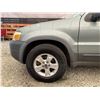 Image 31 : PARKSVILLE - 2006 FORD ESCAPE GREEN 199048 KMS - BA94742