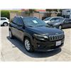 Image 2 : JEEP  CHEROKEE 2019 T-REPO-SMOG-2 DAYS