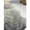 Image 6 : 2.4 INCH FLUORITE SUGAR COATED SPECIMEM
