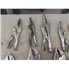 Image 5 : Vise Grips, Different Sizes