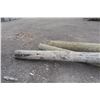 Image 2 : 3 Hydro Poles, Approx 24 FT