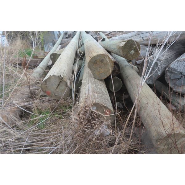 15 Treated Hydro Poles, 20-30 FT