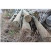 Image 1 : 15 Treated Hydro Poles, 20-30 FT