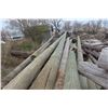 Image 2 : 15 Treated Hydro Poles, 20-30 FT