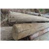 Image 3 : 15 Treated Hydro Poles, 20-30 FT