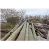 Image 5 : 15 Treated Hydro Poles, 20-30 FT
