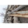 Image 8 : Steel 35 FT Ladder, Steel Lamp Post 24 FT, 2 I-Beams 20 FT 10x8"
