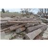 Image 13 : Approx 1000 Cords of White Ash/West Coast Timbers. Quantity is estimated - bid accordingly.