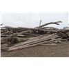 Image 14 : Approx 1000 Cords of White Ash/West Coast Timbers. Quantity is estimated - bid accordingly.