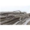 Image 18 : Approx 1000 Cords of White Ash/West Coast Timbers. Quantity is estimated - bid accordingly.