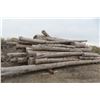 Image 19 : Approx 1000 Cords of White Ash/West Coast Timbers. Quantity is estimated - bid accordingly.