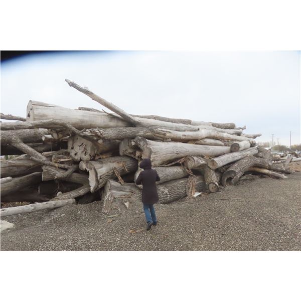 Approx 1000 Cords of White Ash/West Coast Timbers. Quantity is estimated - bid accordingly.