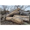 Image 20 : Approx 1000 Cords of White Ash/West Coast Timbers. Quantity is estimated - bid accordingly.