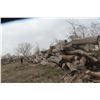 Image 23 : Approx 1000 Cords of White Ash/West Coast Timbers. Quantity is estimated - bid accordingly.