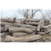 Image 25 : Approx 1000 Cords of White Ash/West Coast Timbers. Quantity is estimated - bid accordingly.